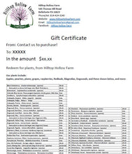 ..... Gift Certificates. Redeemable for plants.  Open to see details.